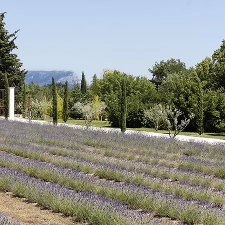 Vendégház La Bastide De Damien, 5 Clefs Demeure D'exception Et Table Remarquable Dans Le Guide Teritoria, Jacuzzi Privatif, Cuisine Etoilee Dominique Frerard Aix-en-Provence