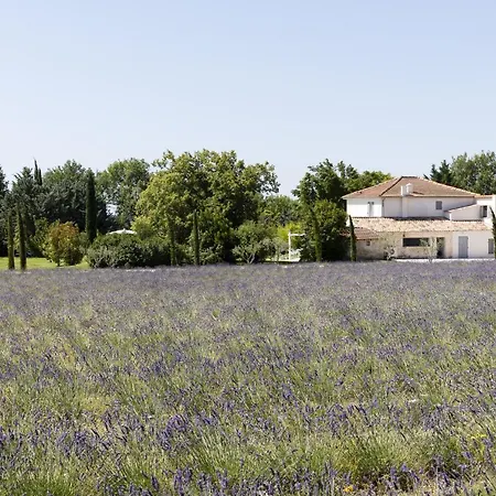 La Bastide De Damien, 5 Clefs Demeure D'exception Et Table Remarquable Dans Le Guide Teritoria, Jacuzzi Privatif, Cuisine Etoilee Dominique Frerard Vendégház