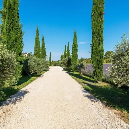 La Bastide De Damien, 5 Clefs Demeure D'exception Et Table Remarquable Dans Le Guide Teritoria, Jacuzzi Privatif, Cuisine Etoilee Dominique Frerard 5* Aix-en-Provence