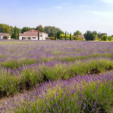 La Bastide De Damien, 5 Clefs Demeure D'exception Et Table Remarquable Dans Le Guide Teritoria, Jacuzzi Privatif, Cuisine Etoilee Dominique Frerard Гостевой дом