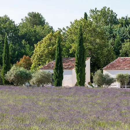 La Bastide De Damien, 5 Clefs Demeure D'exception Et Table Remarquable Dans Le Guide Teritoria, Jacuzzi Privatif, Cuisine Etoilee Dominique Frerard Penzion