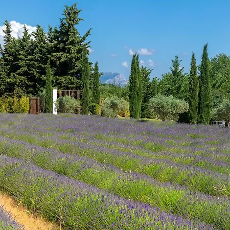 Romantique, Jacuzzi Et Lit D'exception Aix-en-Provence