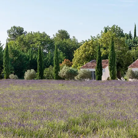 Gasthof Romantique, Jacuzzi Et Lit D'exception Aix-en-Provence