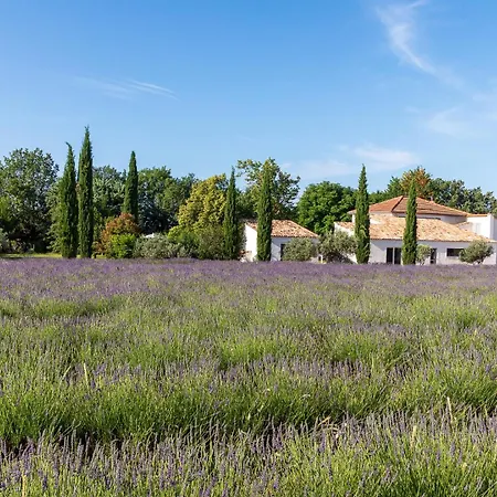 Gasthof Romantique, Jacuzzi Et Lit D'exception