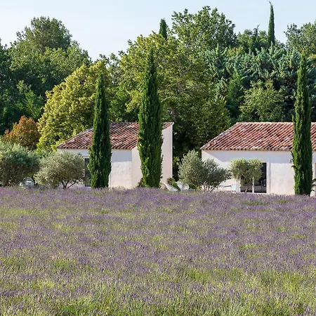 La Bastide De Damien, 5 Clefs Demeure D'exception Et Table Remarquable Dans Le Guide Teritoria, Jacuzzi Privatif, Cuisine Etoilee Dominique Frerard Экс-ан-Прованс