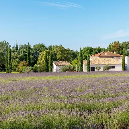 La Bastide De Damien, 5 Clefs Demeure D'exception Et Table Remarquable Dans Le Guide Teritoria, Jacuzzi Privatif, Cuisine Etoilee Dominique Frerard 5*