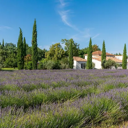 La Bastide De Damien, 5 Clefs Demeure D'exception Et Table Remarquable Dans Le Guide Teritoria, Jacuzzi Privatif, Cuisine Etoilee Dominique Frerard Гостевой дом Экс-ан-Прованс