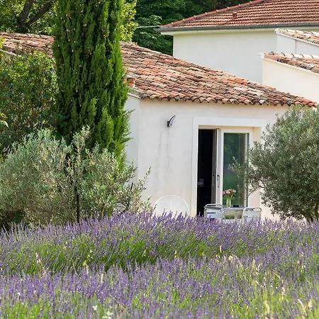 Romantique, Jacuzzi Et Lit D'exception Gasthof Aix-en-Provence