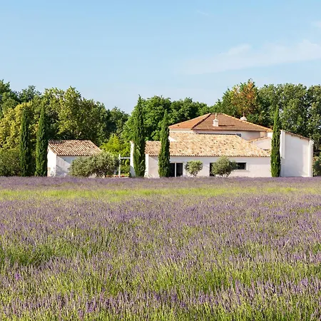 Romantique, Jacuzzi Et Lit D'exception Gasthof Aix-en-Provence