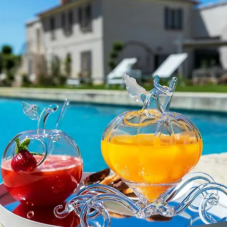 Гостевой дом La Bastide De Damien, 5 Clefs Demeure D'exception Et Table Remarquable Dans Le Guide Teritoria, Jacuzzi Privatif, Cuisine Etoilee Dominique Frerard